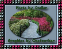 Graphics by OneFeather